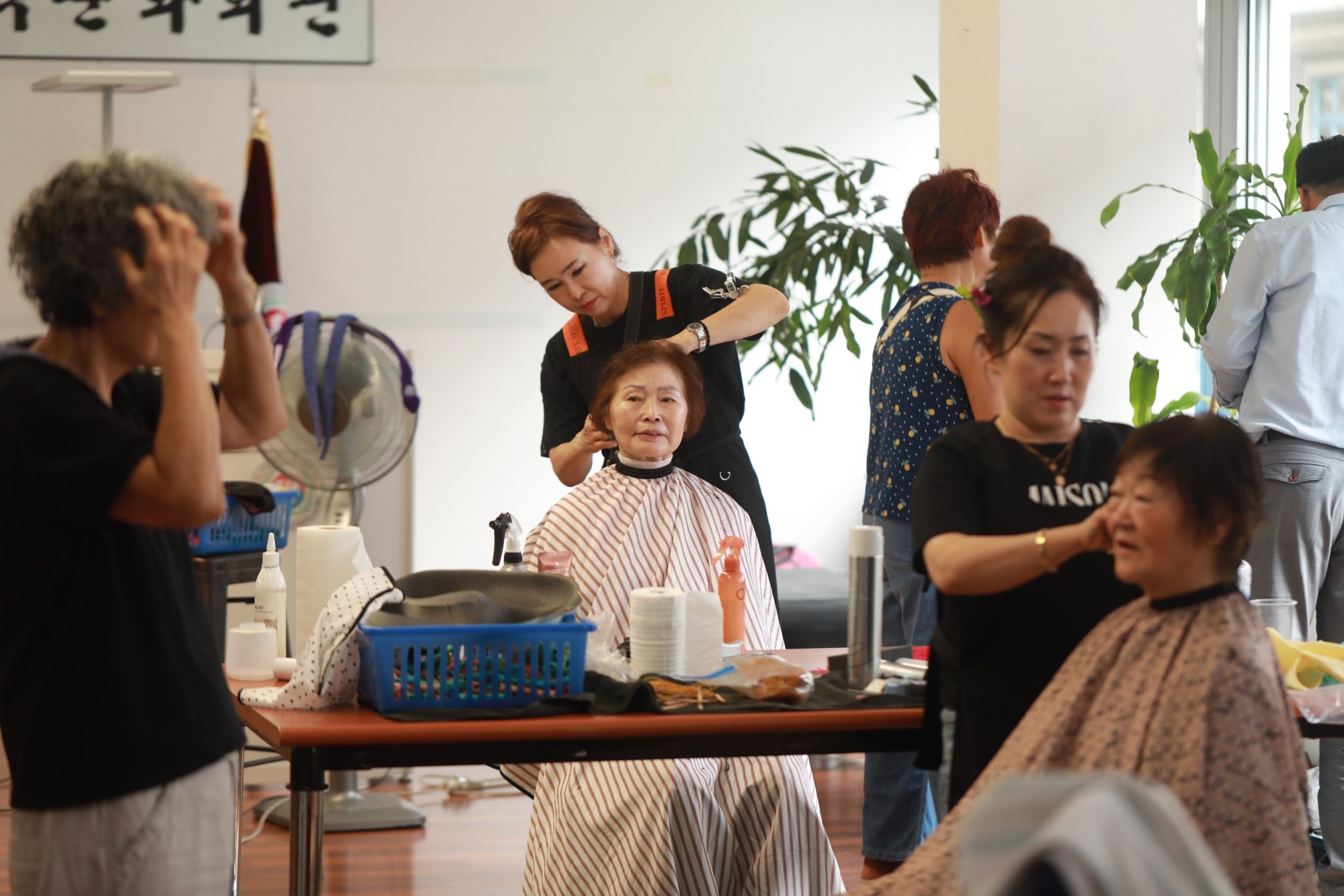 파독간호사 미용봉사